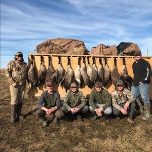 Meet your Posher, Lane